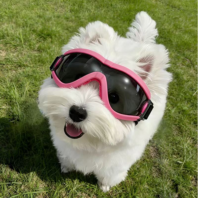 Dog Goggles for Small Medium D - Sunglass Retainer Cord review and price